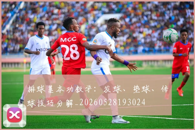 排球基本功教学:发球、垫球、传球技巧分解_20260528193024